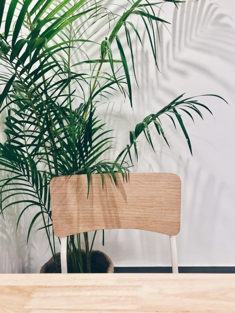 desk with chair and a plant behind the desk.
