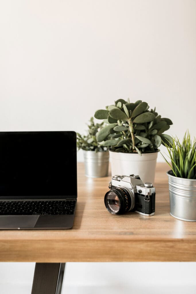 Plants on desk with camera