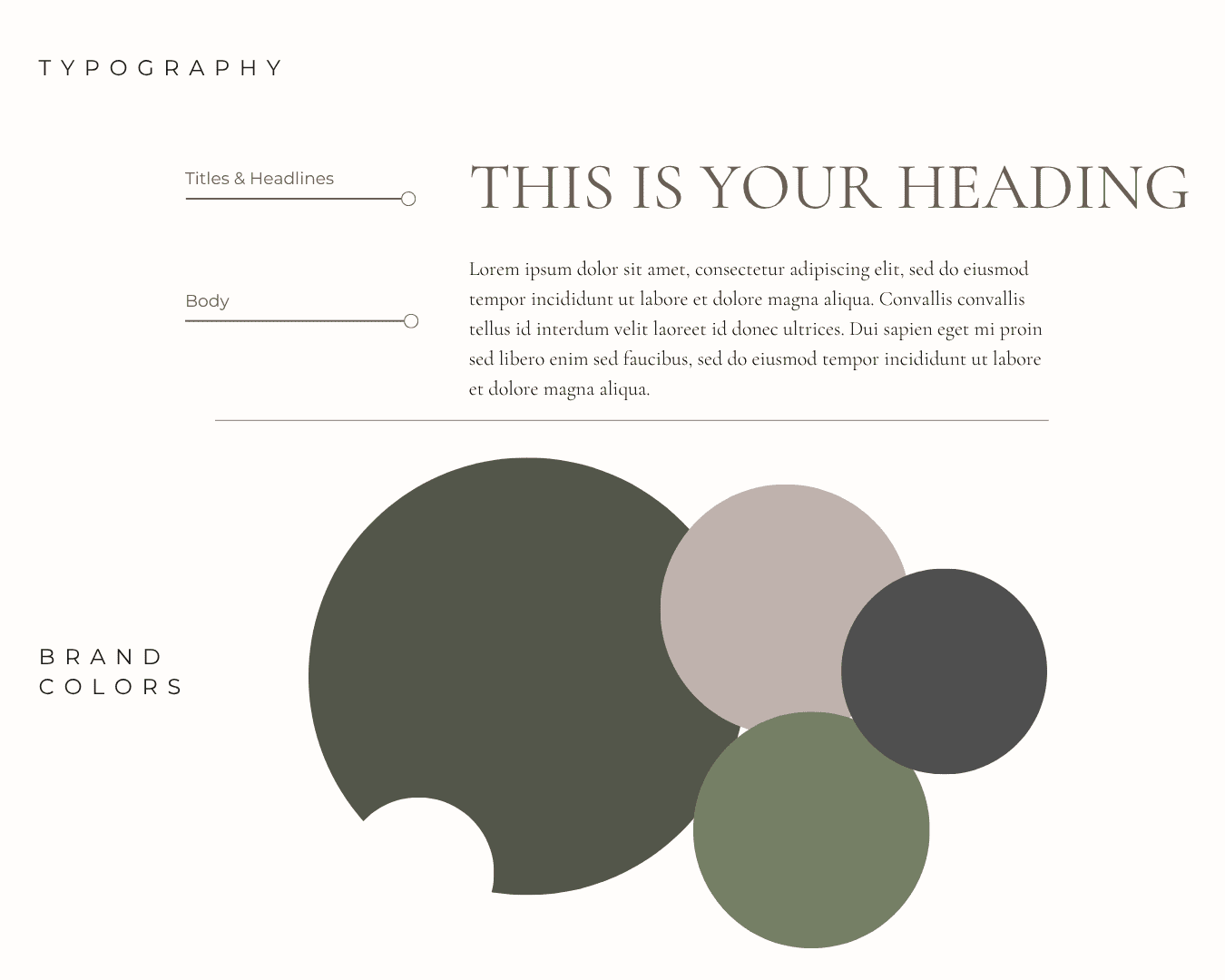 olive paper charlotte nc color palatte